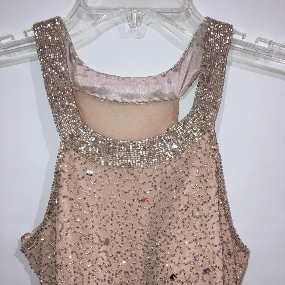 Cache Cocktail Dress Blush Sequence Women’s